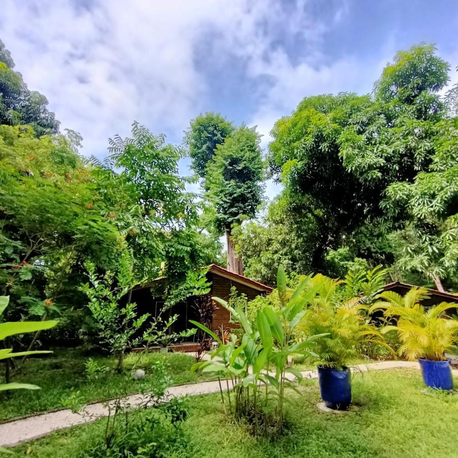 Boho Lodge Montezuma L&L ภายนอก รูปภาพ